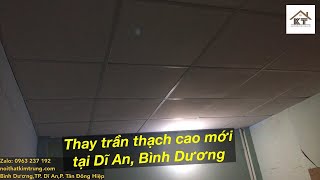 Thay trần thạch cao thả mới