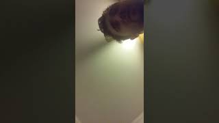 Say Anything Cover Tickle Me Red