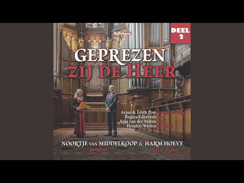 Liefde was het (Instrumental)