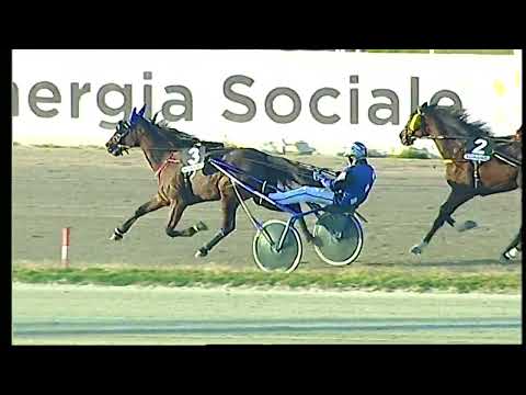 Napoli Trotto 11/02/2022 - 6ª corsa