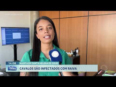 Sete cavalos são infectados com raiva e prefeitura de Santa Helena faz alerta