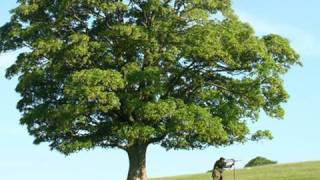Fieldsports Britain : Stalking Castle Greystoke and rabbiting from a quadbike (Episode 3)