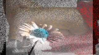 Los Pérez Garcia "Nena" (1997)