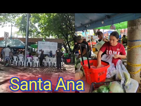 Comprando en el AGRO MERCADO de SANTA ANA colonia El IVU 🇸🇻
