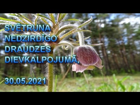 259. Iesākumā bija Vārds