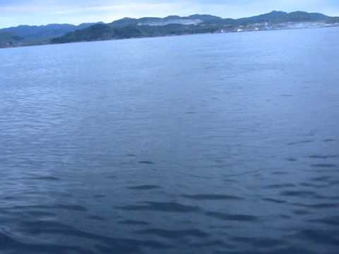 2011 Fogn Norway fishing part1
