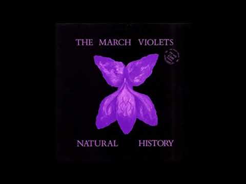 The March Violets ‎– Grooving In Green (1982)