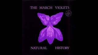 The March Violets ‎– Grooving In Green (1982)