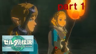 【ティアーズオブザキングダム】～始まりのとき～美空の実況＃０１