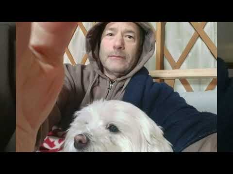 Never Summer Nordic Yurt, and Pushti