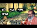 હરિ ગુણ ગાના ભજન Hari Gun Gana Bhajan By Narayan Swami