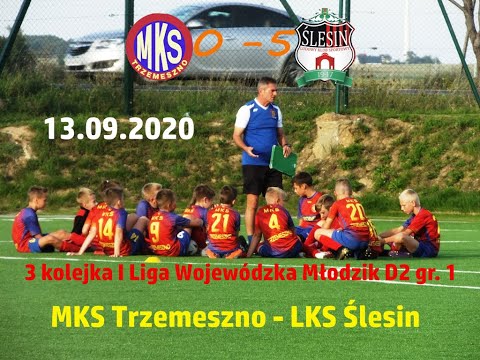 13.09.2020 MKS Trzemeszno - LKS Ślesin 0-5