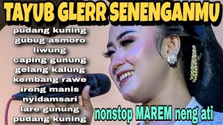 Download lagu TAYUB GLERR SENENGANMU ❗️NONSTOP MAREM neng ati  mp3