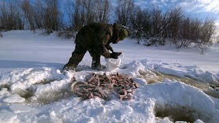 Форум санататур рыбалка на севере