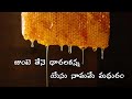 Junte Thene Dharala Kanna Yesu Namame Madhuram జుంటె తేనె ధారలకన్న