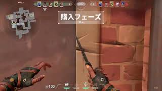 valo認定戦
