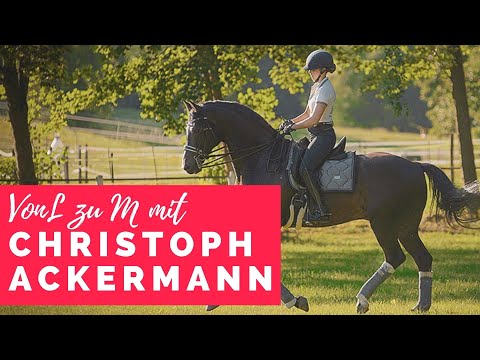 Wie ein Künstler reiten - nicht wie ein Polizist! Von L- zu M-Dressur mit Christoph Ackermann
