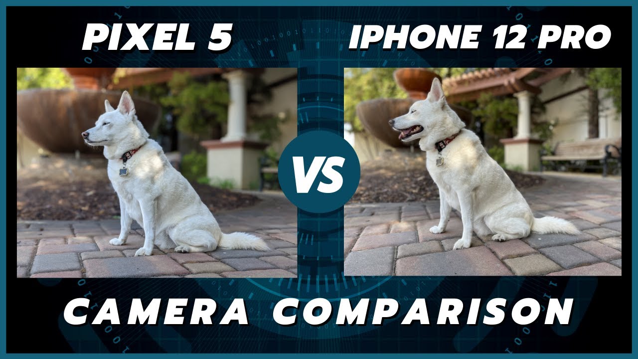 Pixel 5 vs iPhone 12 Pro Camera Comparison