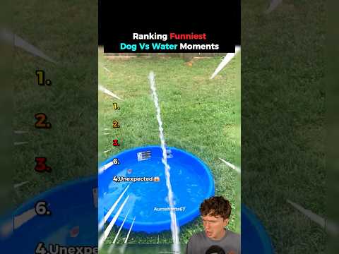 Ranking FUNNIEST dog vs WATER moments😮😭