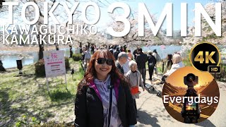 โตเกียว สามนาที ... ลัลล้า เฮฮาปาร์ตี้ ฟูจิ โตเกียว คามาคุระ แสนสุขใจ [4K60]