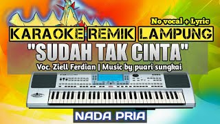 Download lagu SUDAH TAK CINTA - KARAOKE REMIX LAMPUNG - NADA PRIA mp3
