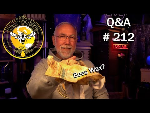 Backyard Beekeeping Questions and Answers Episode 212