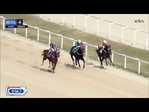 (Seoul) 2022.10.23 R4