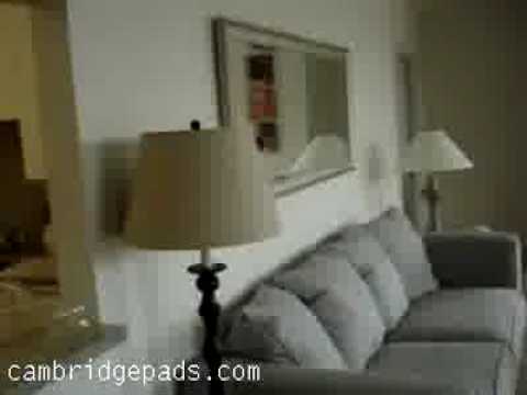 Gorgeous Apartment For Rent in Cambridge MA