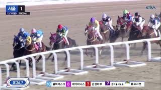 은성마루.데뷔전.단승식131.0배 우승