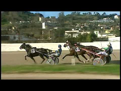 Trotto 27/12/2020 - 2ª corsa