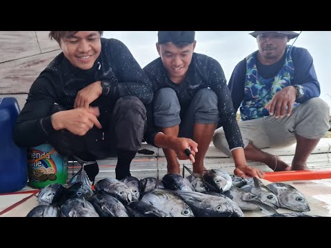 EP816-P1 - Day 4 of Tuna Series