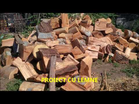 prezentare video Daneasa August 2017