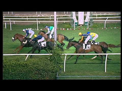 Galoppo 25/07/2020 - 7ª corsa - Pr. Città di Napoli - TRIS