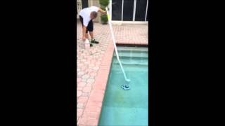 Swimming Pool Stain removal