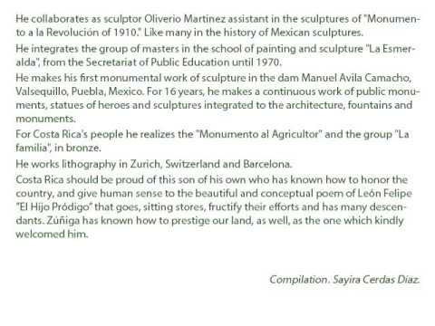 Summary of the artist Francisco Zúñiga