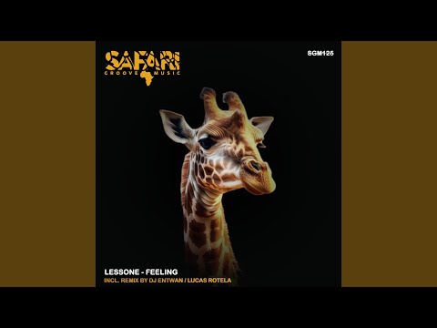 Feelings (DJ Entwan Remix)