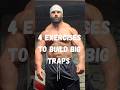 4 EXERCISES TO BUILD BIG TRAPS! #motivation #howto #powerlifting #gym #muscle #fitness #training