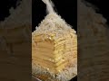 Guess How Many Layers Of CHEESE Shorts