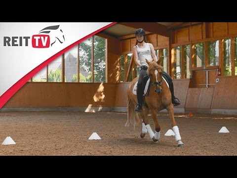 Reiten lernen: Bahnfiguren - Volten Teil 1