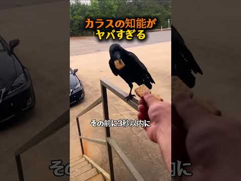 我の目に狂いはない。明日、お主の元へ富が舞い込むであろう…