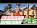 【ダイエット企画】7日目HIIT