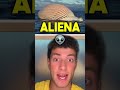 Se Vedi Questo In Mare Esci Subito
