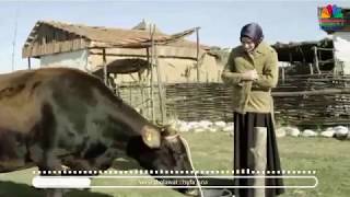 Download lagu Sholawat Isyfa'lana dengan klip antara orang kaya dan orang miskin, beda banget360p MP4 mp3