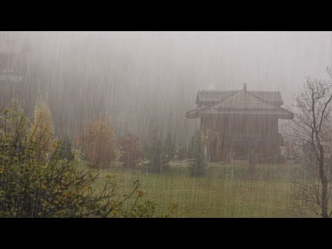 Listen 3 Minutes and Deep Sleep with Relaxing Rain and Thunderstorm in the Misty Forest