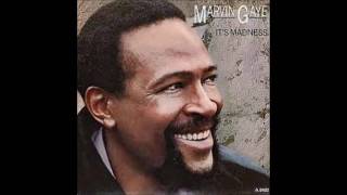 Marvin Gaye-It&#39;s Madness