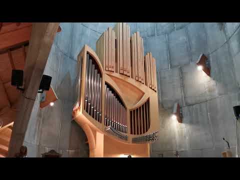 David Cassan impro concert du 28 07 22