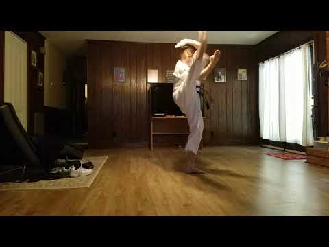 American Martial Arts Academy Online Karate Class Lesson 3 Part 2