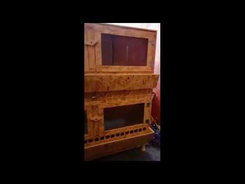 брудер класса люкс и эконом