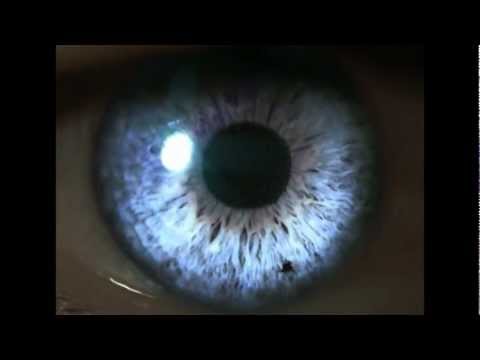 Mighty Mike - "City Down Under" (M83 vs Men At Work video mashup by Dj Morbid)