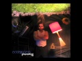 Basement Skylights - KillingFields 